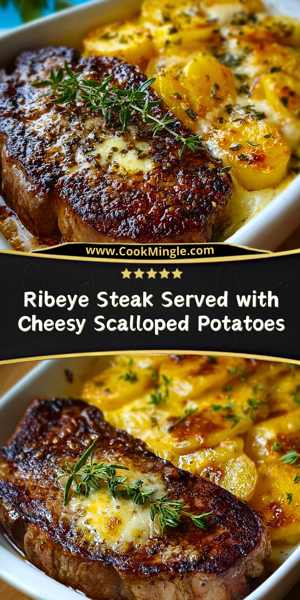 Pinterest Rib Eye:images Ribeye Steak Served with Cheesy Scalloped Potatoes - Cook Mingle